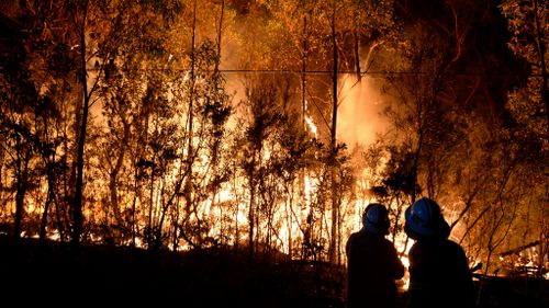 Firefighters battle a blaze at Springwood in the Blue Mountains in October 2013. (AAP)