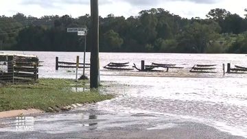 Water levels remain high in Warwick in south-east Queensland as residents devastated by continuing floods. 