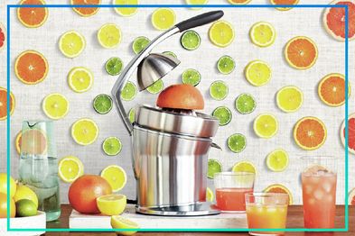 9PR: Breville the Citrus Press Pro, Brushed Stainless Steel