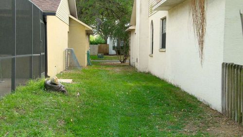 "There's no fence between our house and the neighbor's house, so anybody could walk back here," Mary McDonald said. (ABC News US)