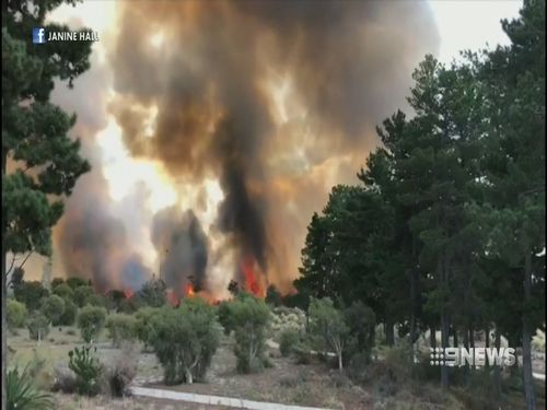 Some witnesses described flames from the fire reaching "two-storeys high". (9NEWS)