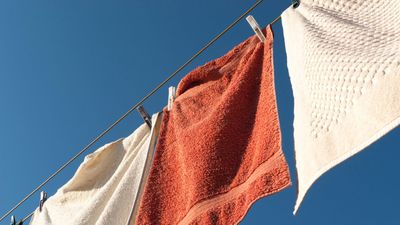 Laundry - $463 total savings