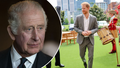 King Charles 'too busy' to see Prince Harry during his London visit 