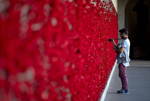 Red poppies on the wall of honour at the Asutralian War Memorial. (AAP)