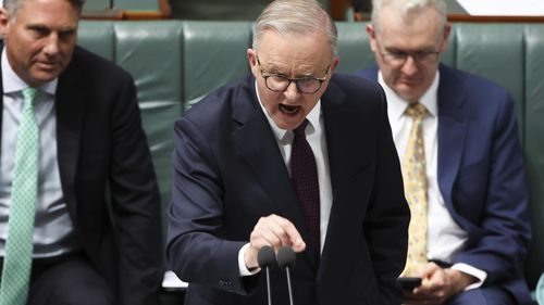 Prime Minister Anthony Albanese during Question Time at Parliament House in Canberra.