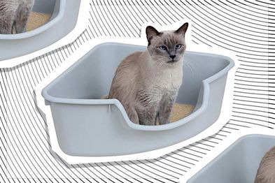 9PR: SmartCat Corner Litter Box, Grey