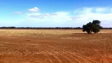 Brad Shephard, 47, has compared footage of floods which hit his land near Forbes two years ago, with the same spot this week, which is arid and bare.