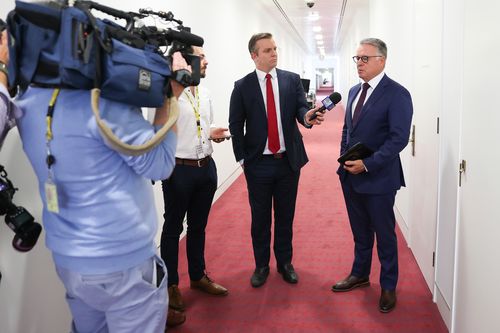 Labor MP Joel Fitzgibbon is interviewed by 9News political reporter Jonathan Kearsley at Parliament House today.