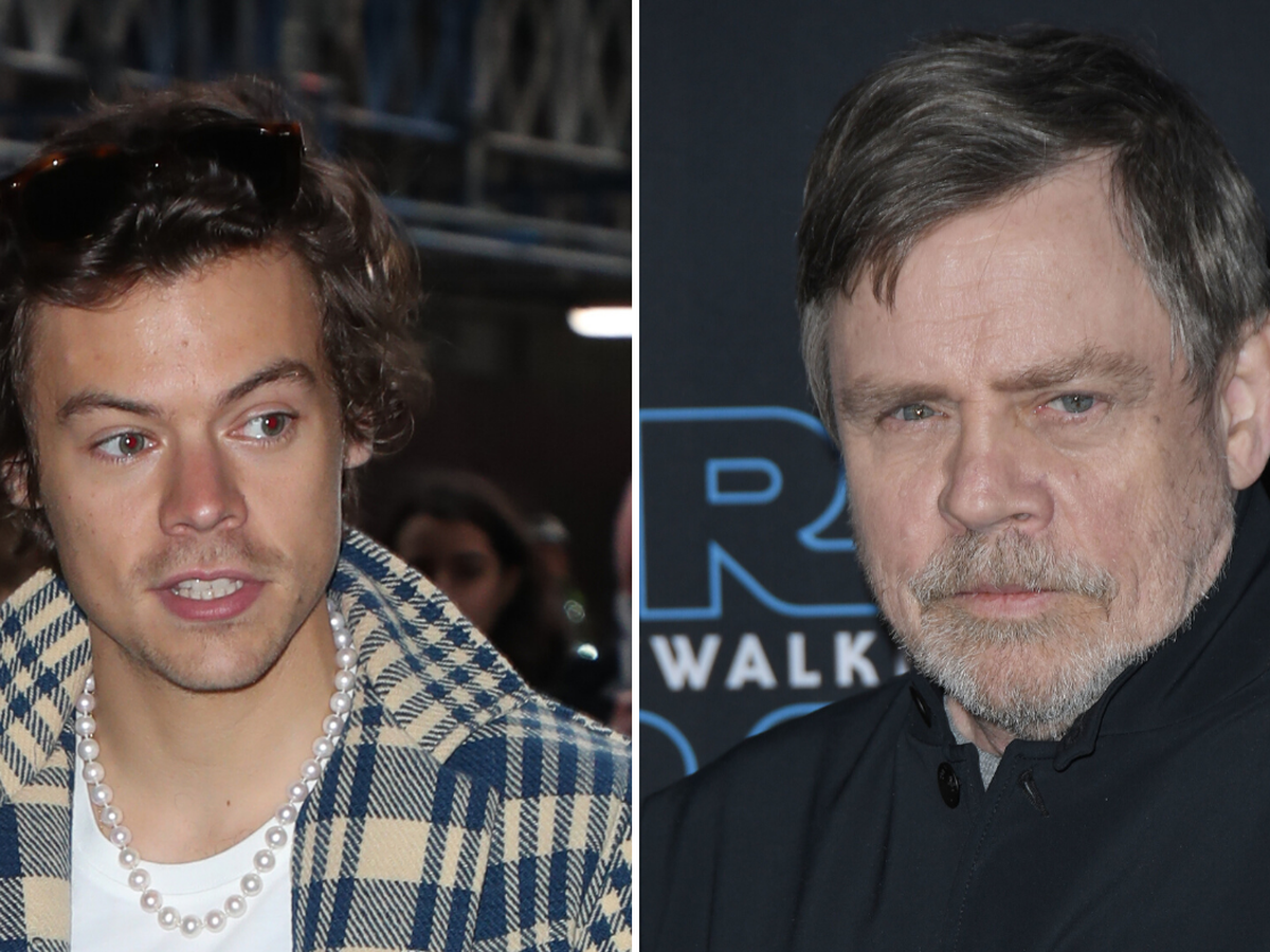 Star Wars: Mark Hamill hints Harry Styles has secret cameo in The Rise Of  Skywalker, The Independent