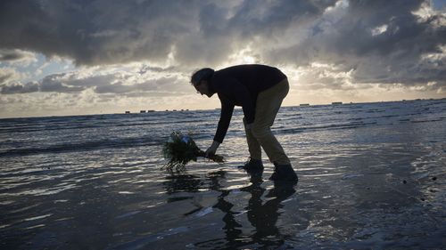 Adrian Cox, a British Expat and Councilor of Arromaches, lays flowers in the sea to commemorate the 76th Anniversary of the D-Day landings at dawn on Gold Beach on June 06, 2020 in Arromanches-les-Bains, France