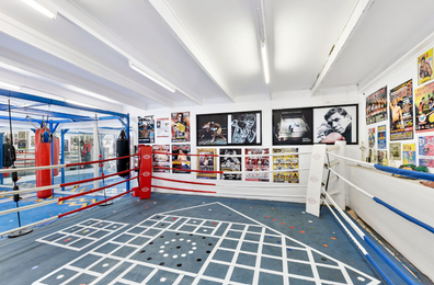 Property for sale in Tamborine Mountain, Queensland, that comes with its own boxing ring.