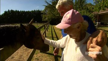 VIDEO: 73-year-old horse trainer continues to fight his battles