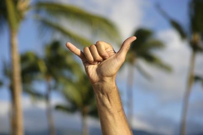"The shaka symbol. It is said to be created in the 1930s on Hawaii, representig the spirit of hang loose and aloha. XXL size image.Have a look at the variation:"