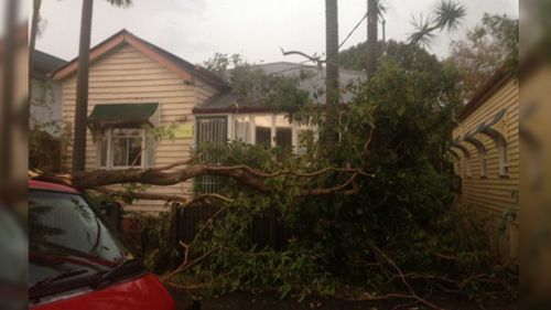 Trees down, some trains suspended after intense Brisbane storm