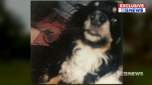 Sue's dog Buster was killed during a violent home invasion.