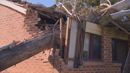 A tree fell on the home of western Sydney Doonside resident Matt Smith amid strong winds in NSW. 