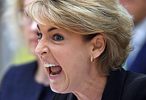 Michalia Cash went on a bizarre rant during Senate Estimates Hearings in Canberra yesterday. (AAP)