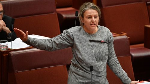 Labor's Louise Pratt handed down the results of the inquiry today.