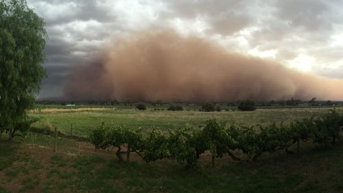 The storm as it moved through the Barossa Valley. (Kristy Edwards/Supplied)
