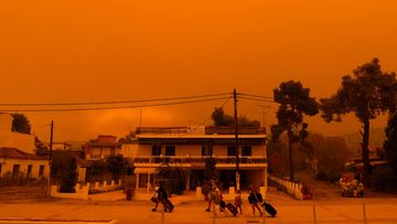 People evacuate during a wildfire Pefki village on Evia island, about 189 kilometres north of Athens, Greece.