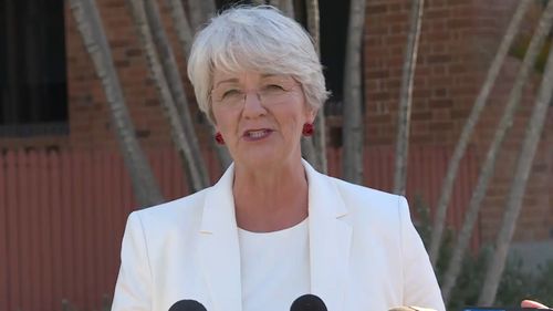 Mayor Margaret Strelow took responsibility for the blunder. Picture: 9NEWS