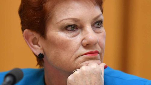 Pauline Hanson has come under fire for comments on children with disabilities. (AAP)