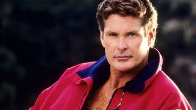 David Hasselhoff: Then