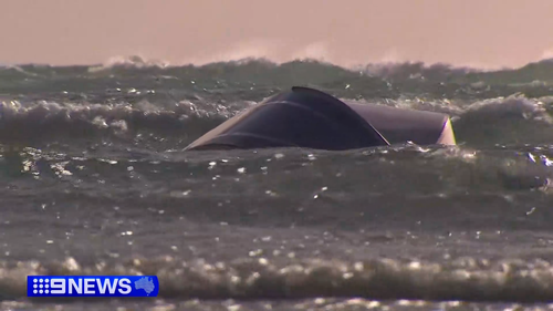El forense de Sudáfrica insta a reformar los chalecos salvavidas después de ocho muertes