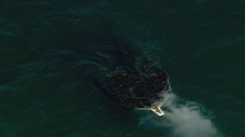 The boat became submerged in the water after the flames were extinguished.