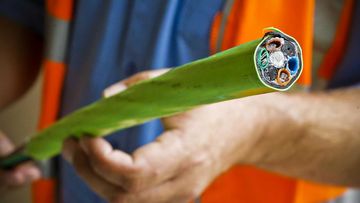 An NBN cable. Australia&#x27;s internet is among the slowest in the developed world.