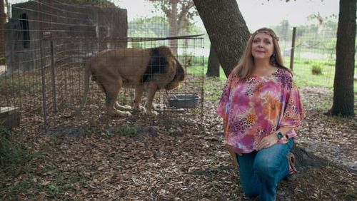 Carole Baskin, of Florida's Big Cat Rescue, is one of the big cat enthusiasts made famous by "Tiger King."