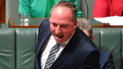 Deputy Prime Minister Barnaby Joyce during Question Time today. (Image: AAP)