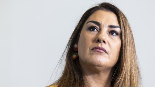 Independent Senator Lidia Thorpe has identified herself as the federal MP who was the target of alleged threats in an online video last year.