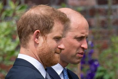 Prince William and Prince Harry