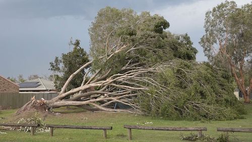 Storm damage south east Queensland, December 27, 2023.