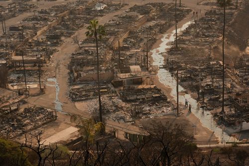 Pacific Palisades fire  