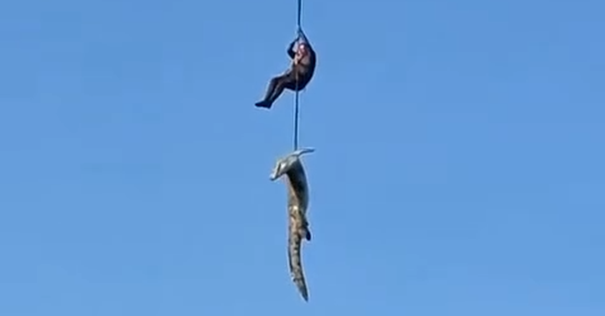 Stunning footage shows croc containing human remains airlifted from river