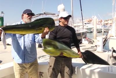 <b>We've all heard about the one that got away, but this is ridiculous.</b><br/><br/>A fisherman in Mexico has made worldwide headlines after losing his catch in spectacular fashion. The man was posing for a photograph with a monster mahi mahi when, in the blink of an eye, a sea lion jumped from the water and stole his trophy.<br/><br/>The extraordinary video is being compared to fishing's other great losses, when fish and animals bite back. Check these out...