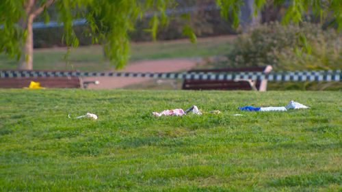 Two female students stabbed at Australian National University in Canberra