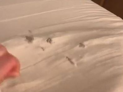 Wife reveals the source of holes in her bed sheets and people are horrified