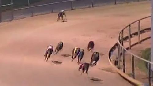 Loceryl continues racing immediately after recovering from the tumble (Image: YouTube/SA Race Replays)