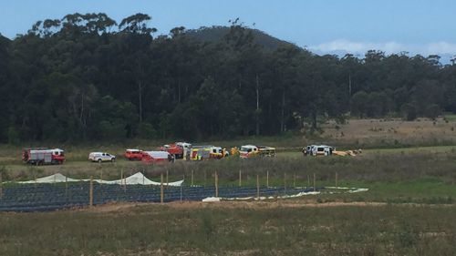Man injured in NSW light plane crash
