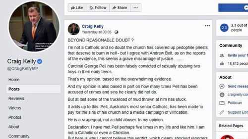 Mr Kelly copy and pasted Bolt's article, arguing Pell's conviction  seemed to be a "grave miscarriage of justice".