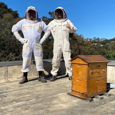 Beehive inspection