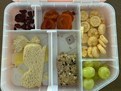 Healthy kid's lunchbox filled with fresh and dried fruit, a sandwich, rice snacks, and a muesli bar