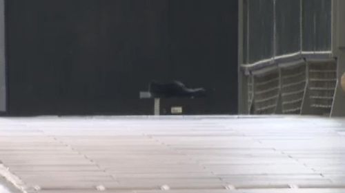 The box appears to contain a pair of black shoes. (9NEWS)