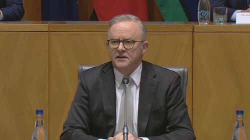 Prime Minister Anthony Albanese.