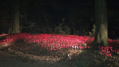 Australian enthusiasts have travelled to Belgium to recreate life of the WWI Battle of Polygon Wood, which will include a walk re-imagining the experiences of Australian soldiers on the Western Front. (AAP/Suze Metherall)