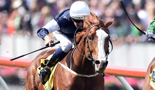 Experts tip highly competitive race for the Melbourne Cup