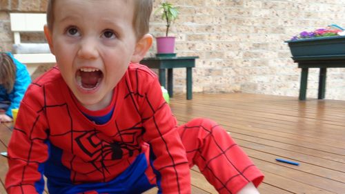 William Tyrrell disappearance inquest Sydney NSW Coroner